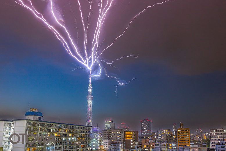 第20回 雷写真コンテスト受賞作品 学術賞 -春雷の華-